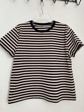 Everlane Black and Light Pink Striped Crew Tee